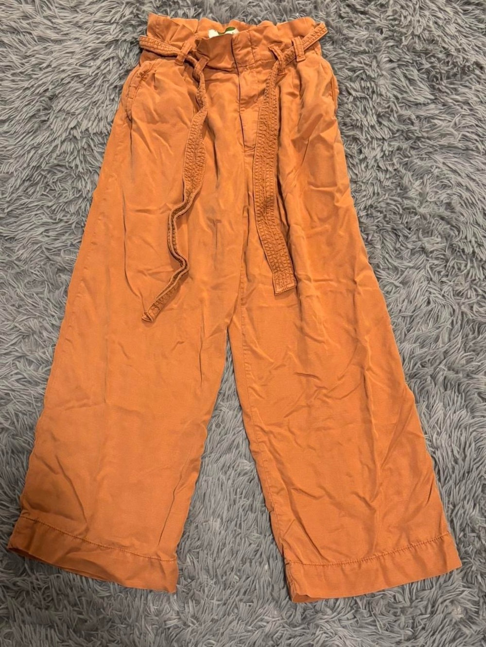Anthropologie Women Blythe High Waist Wide Leg Paperbag Pants Terracotta Size 4R